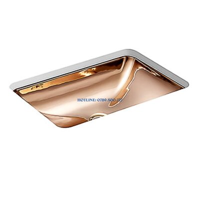 Chậu Rửa Kohler K-28729T-RGD - ảnh đại diện