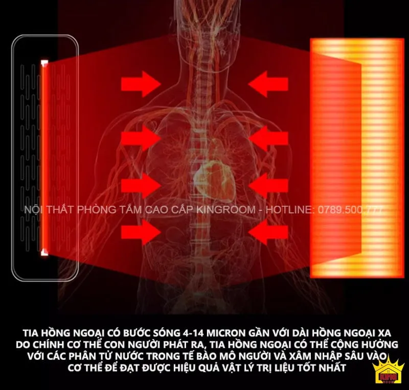Mô phỏng cách tia hồng ngoại từ Phòng Xông Hơi Khô ND7 tác động đến cơ thể