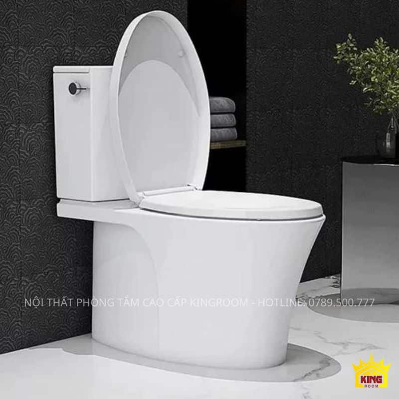 Bồn Cầu Kohler K-1666T-NS-0