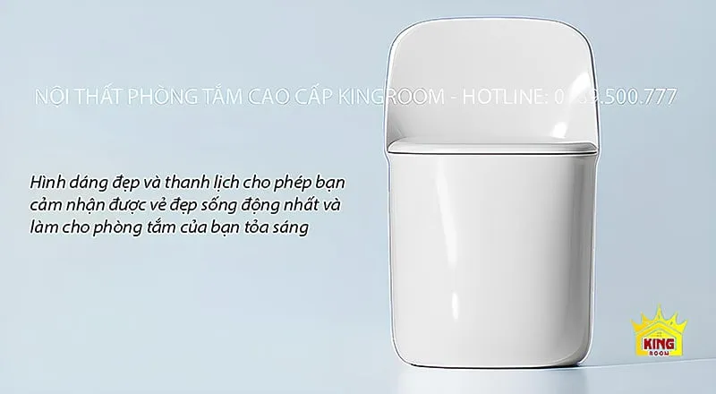 Bồn Cầu 1 Khối Aqua S16 với thiết kế đẹp và thanh lịch