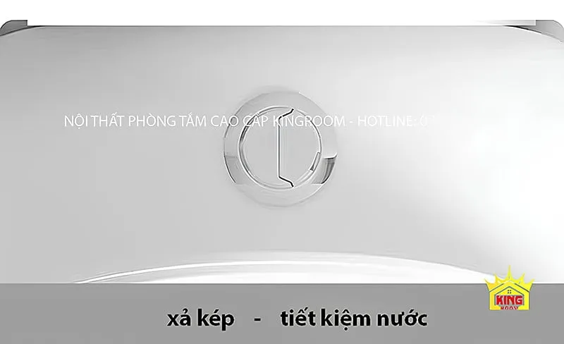 Cận cảnh nút xả kép của bồn cầu TM90, giúp tiết kiệm nước.