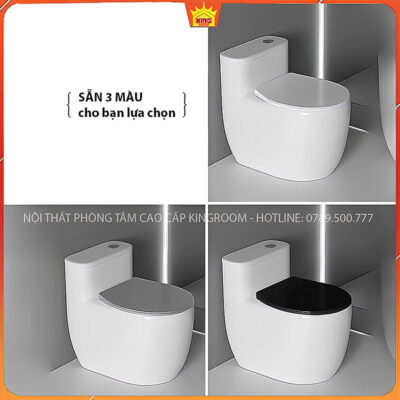 Bồn cầu H30 với tùy chọn màu sắc đa dạng.