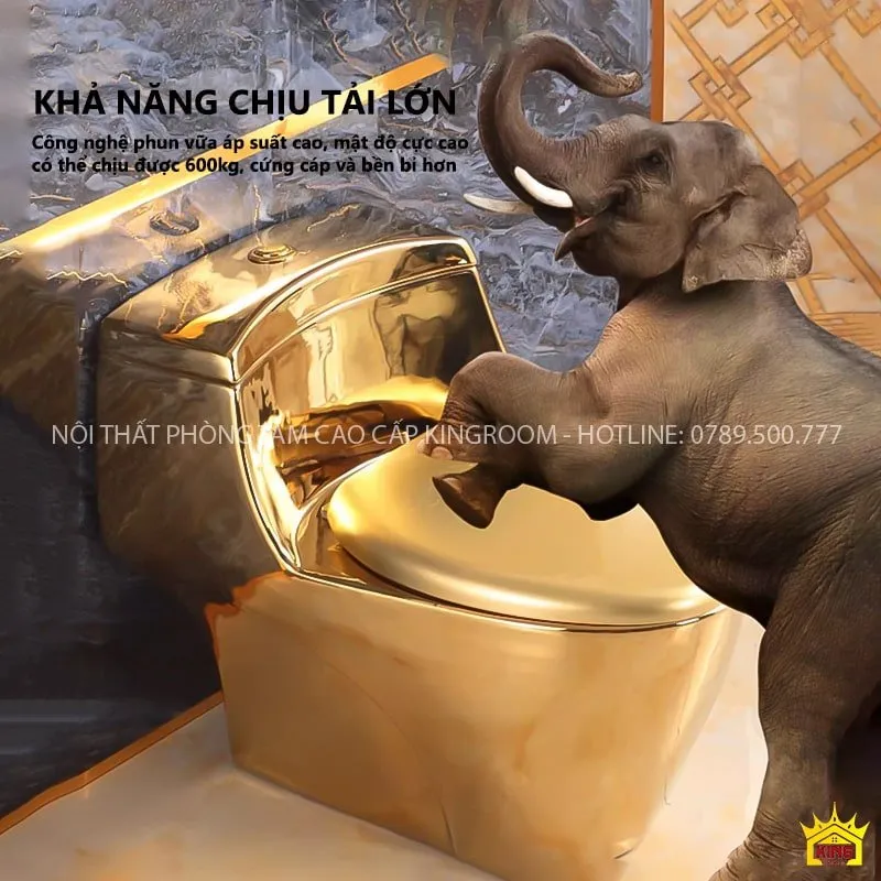 Tải trọng KH50 lên đến 600kg