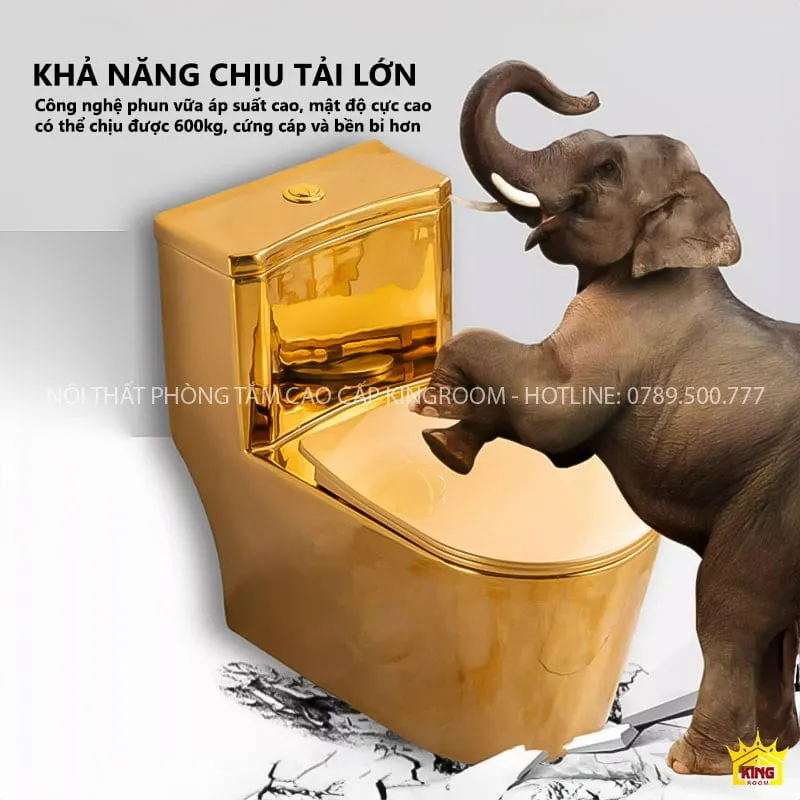 Tải trọng bồn DS40 lên đến 600kg