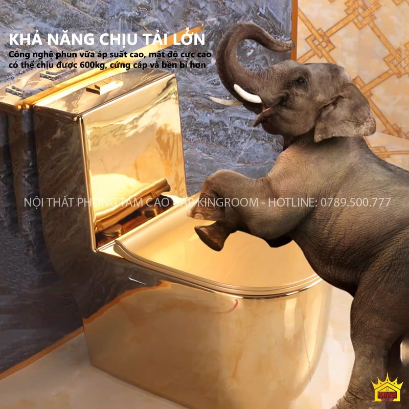 Bồn cầu dát vàng Dubai AM80 Trọng tải bồn lên đến 600kg