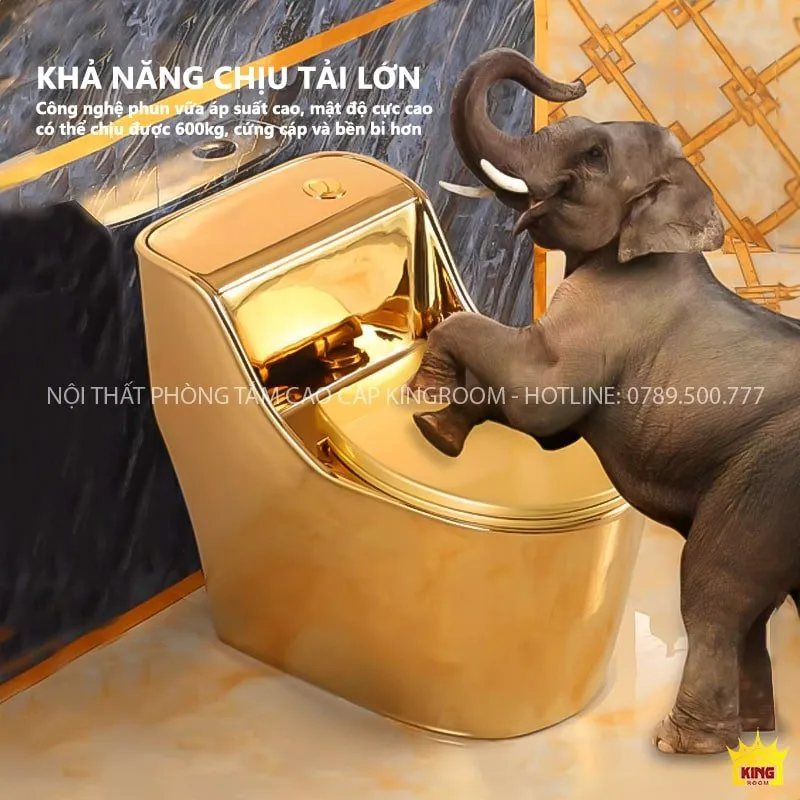 Trọng tải lên đến 600kg