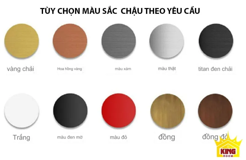 Các tùy chọn màu sắc của TS20 bao gồm vàng chải, hồng vàng, xám, trắng, đen mờ, đỏ, đồng.