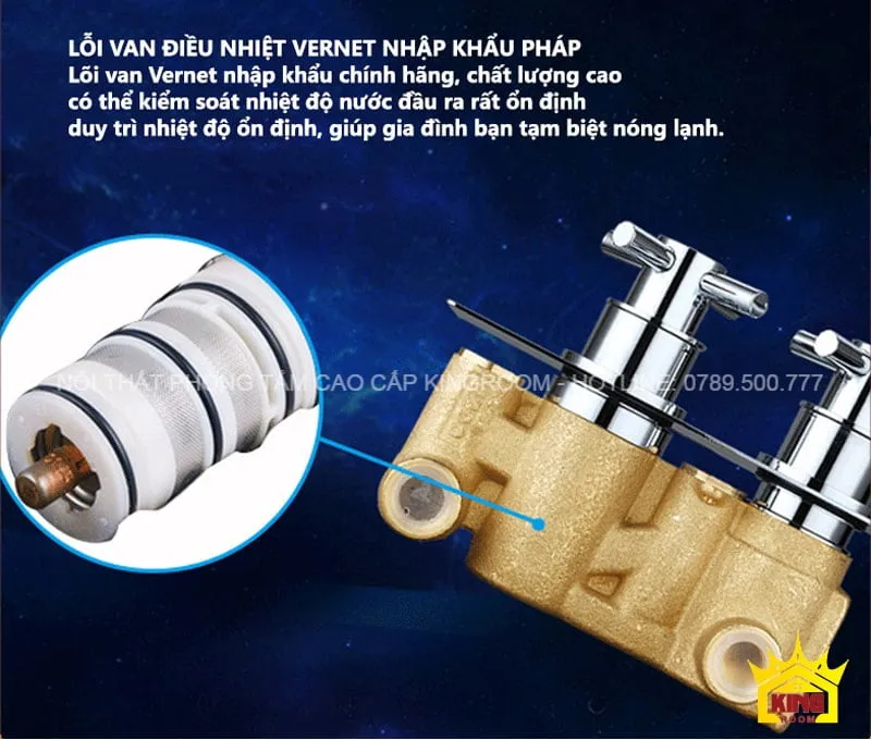 Lõi van điều nhiệt nhập khẩu Pháp