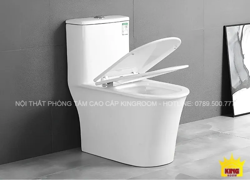 Bồn xí một khối kiểu dáng dài