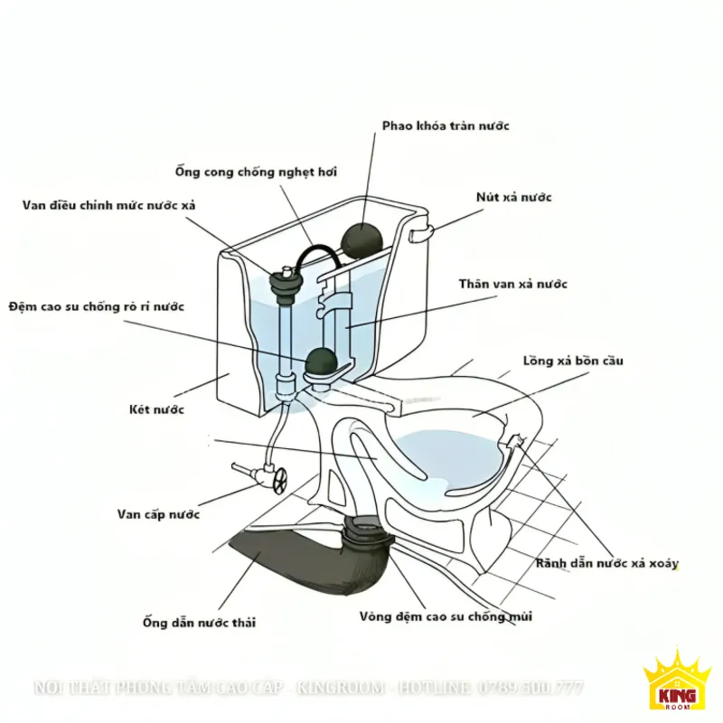 Nghiên cứu về cấu tạo của cầu ngồi bệt