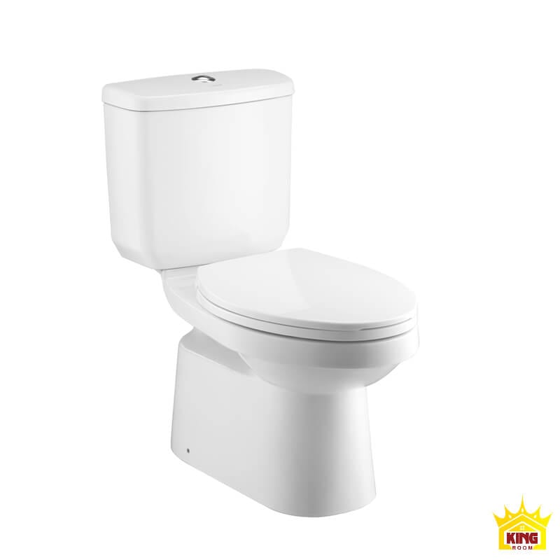 Cấu tạo của bồn cầu là gì - loại 2 khối
