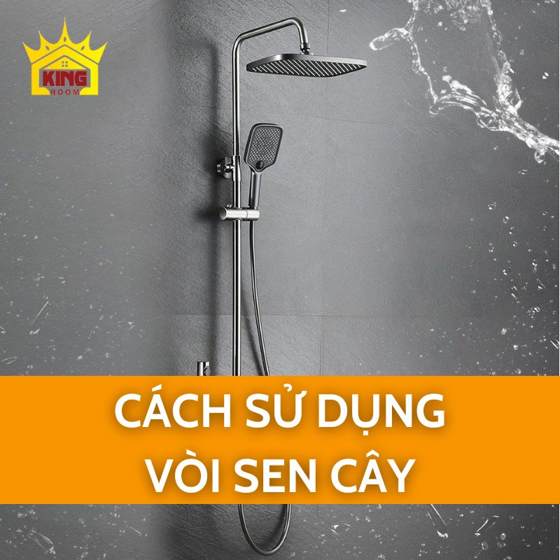 Cách sử dụng vòi sen cây