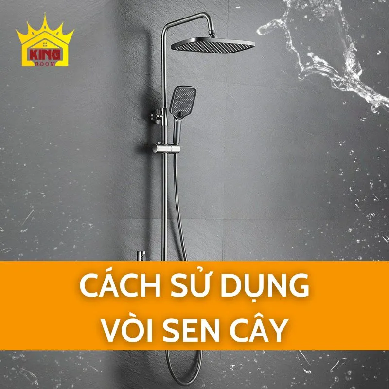 Cách sử dụng vòi sen cây