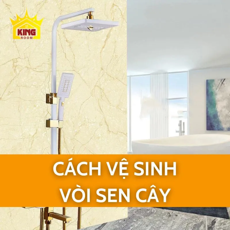 Cách vệ sinh vòi sen cây