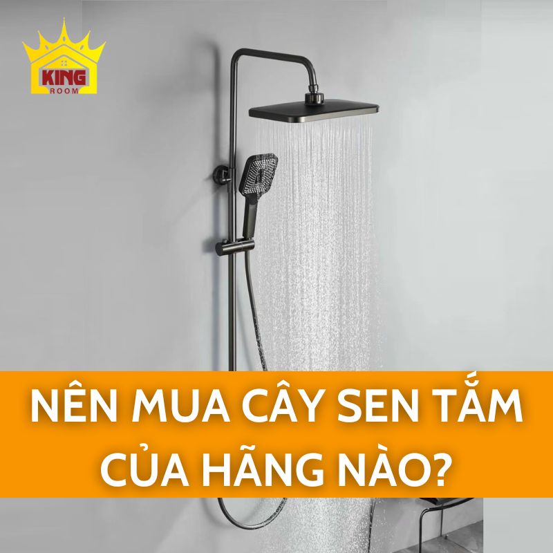 Nên mua cây sen tắm của hãng nào