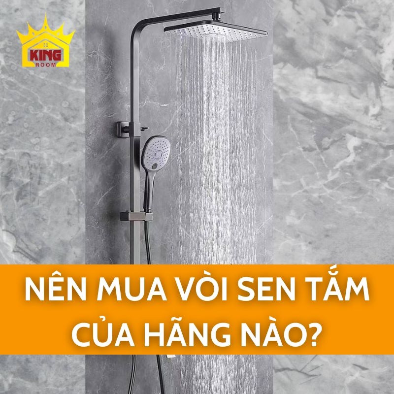Nên mua vòi sen tắm của hãng nào