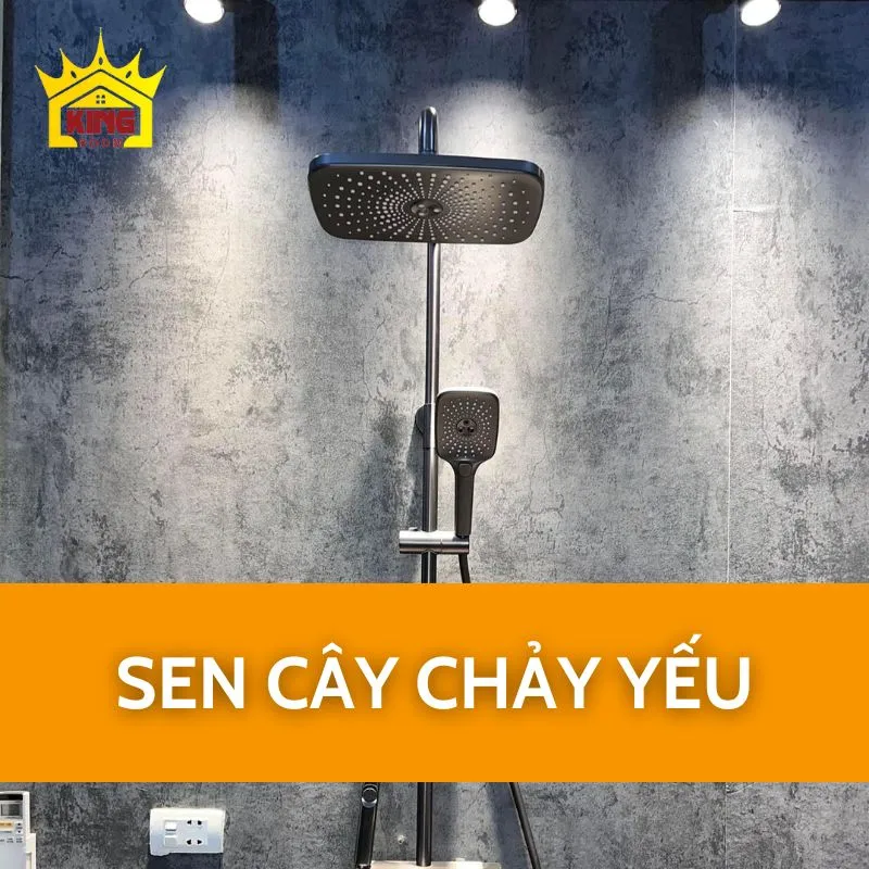 Sen cây chảy yếu