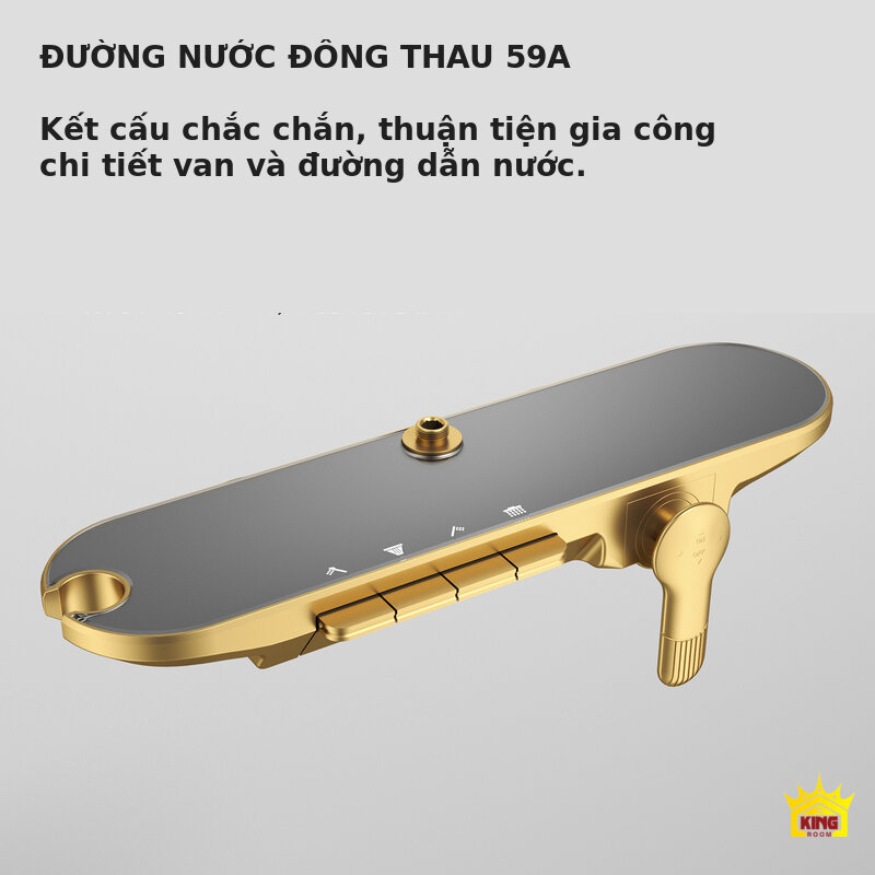 Cụm đường nước đồng thau 59A của sen cây phím đàn KINGROOM